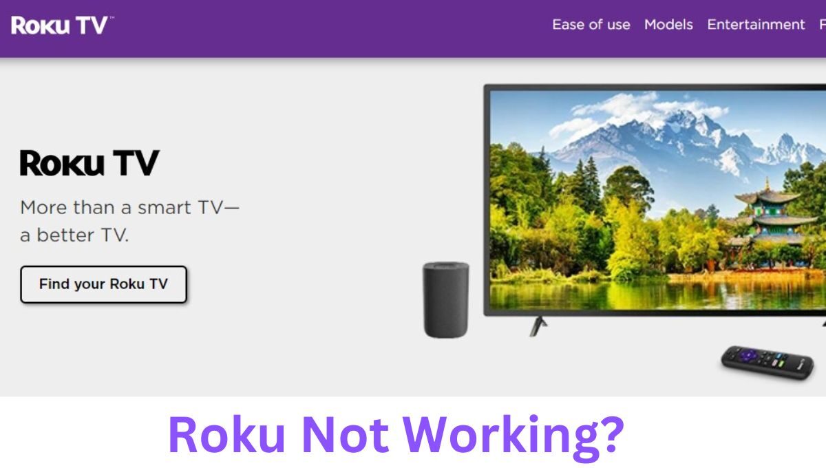 Roku not working